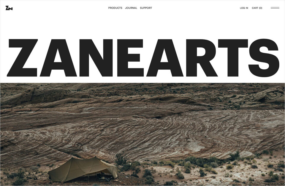 ZANE ARTSウェブサイトの画面キャプチャ画像